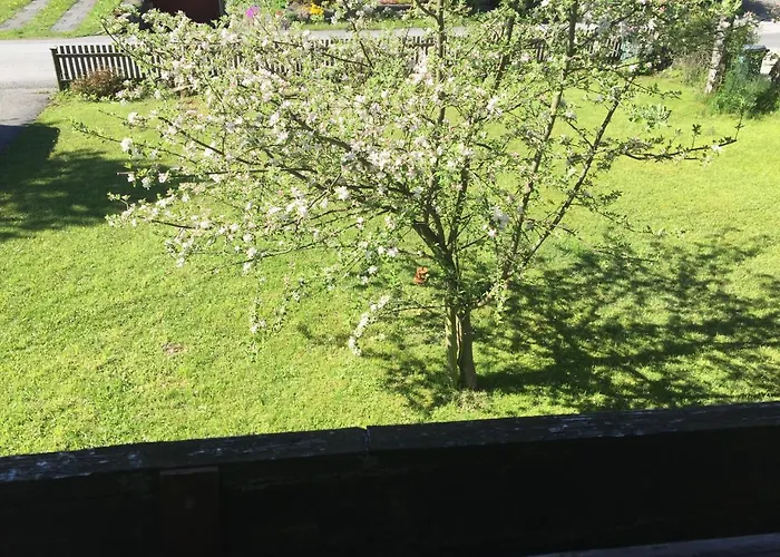 Am Sonnenhang 度假居 *